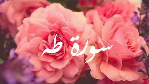 آيات من سورة طه | نور الهدى خال