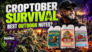Croptober Survival Guide: Best Cannabis Nutrients for Outdoor Harvests