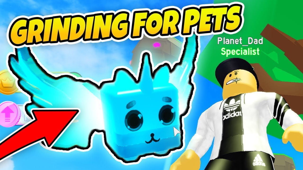 all-codes-pet-ranch-simulator-grinding-for-pets-roblox-youtube