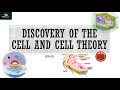 The Journey Through Cell Discovery And The Development Of Cell Theory