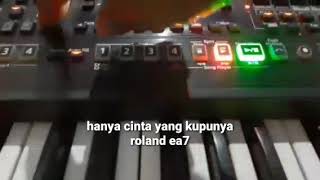 Hanya cinta yang kupunya roland ea7 karaoke