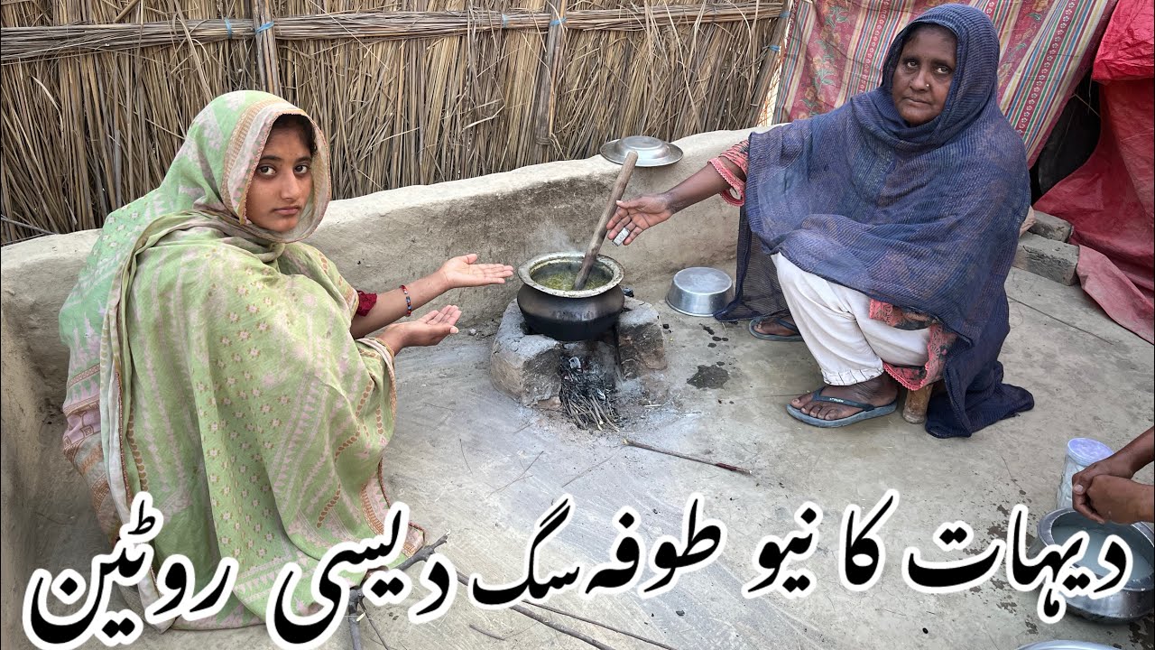 New Vlogs Sham Ki Routine Dhadke Nazara Daly Village family Pakistan Live Routine ￼￼