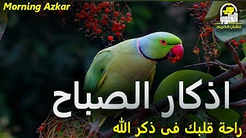 أذكار الصباح  ابدأ يومك بالسكينة والطمأنينة  بصوت هادئ ومريح للنفس للقارئ علاء عقل