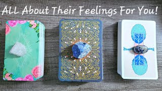 all About Their Feelings For Youpick A Card Love Tarot Readingtimeless