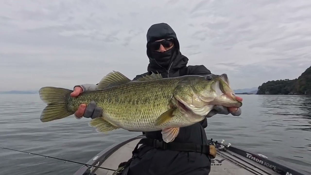 Biwa Lake Bass Fishing / Pesca al Bass sul lago Biwa / 琵琶湖バス釣り