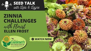 Seed Talk #52  Zinnia Challenges with Florist Ellen Frost #flowerfarm #seedtalk #zinnia