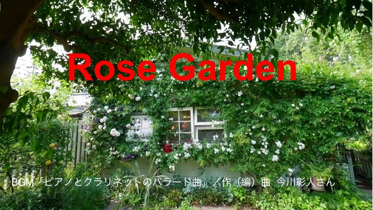 ガーデンカフェ グリーンローズ 毛呂山町 Rose Garden Youtube