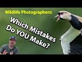 6 Wildlife Photography Mistakes EVERYONE Makes! (OK, almost everyone!)