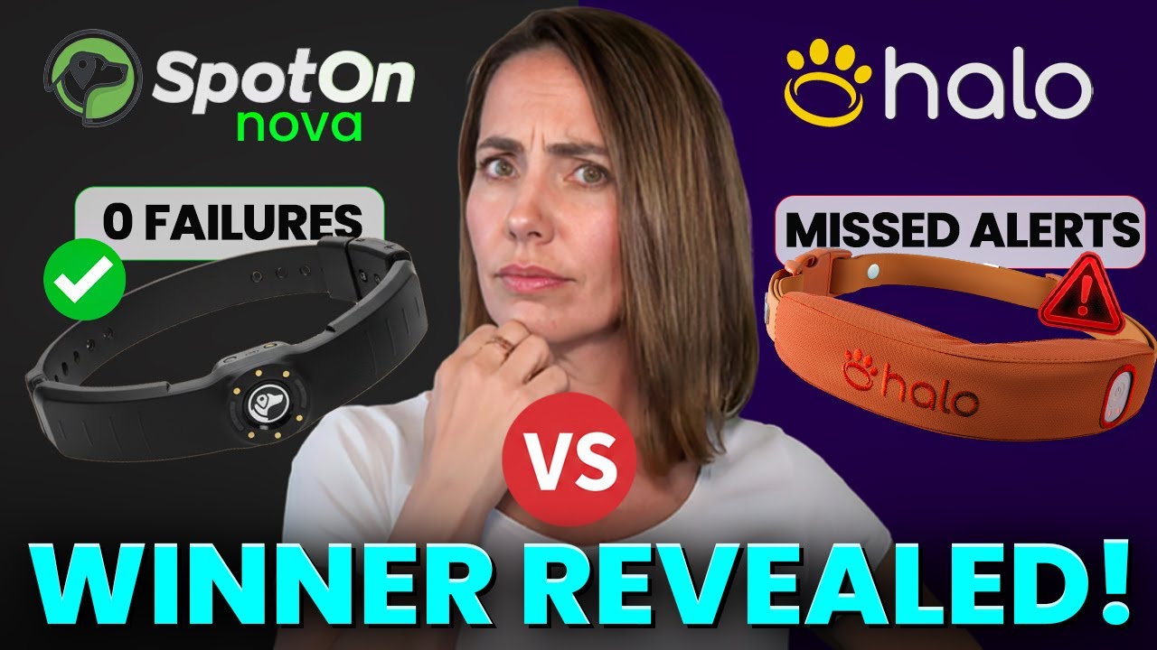 SpotOn NOVA против Halo Collar — 5 вещей, которые нужно знать перед покупкой