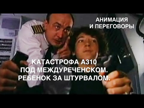 Катастрофа Airbus А310 под Междуреченском. Ребенок за штурвалом. Анимация и переговоры пилотов.