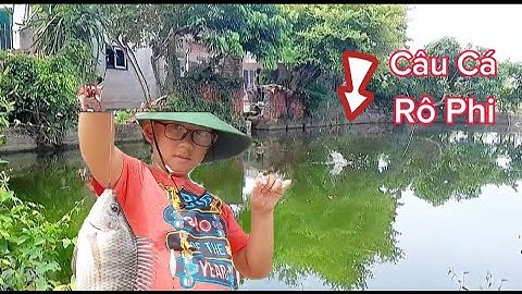 Câu Cá,Một Buổi Đi Câu Cá Rô Phi Ao, Cá Cắn Giật Mỏi Tay #fishingvideo #cá #câu @mecauca-kv2wm#rôphi