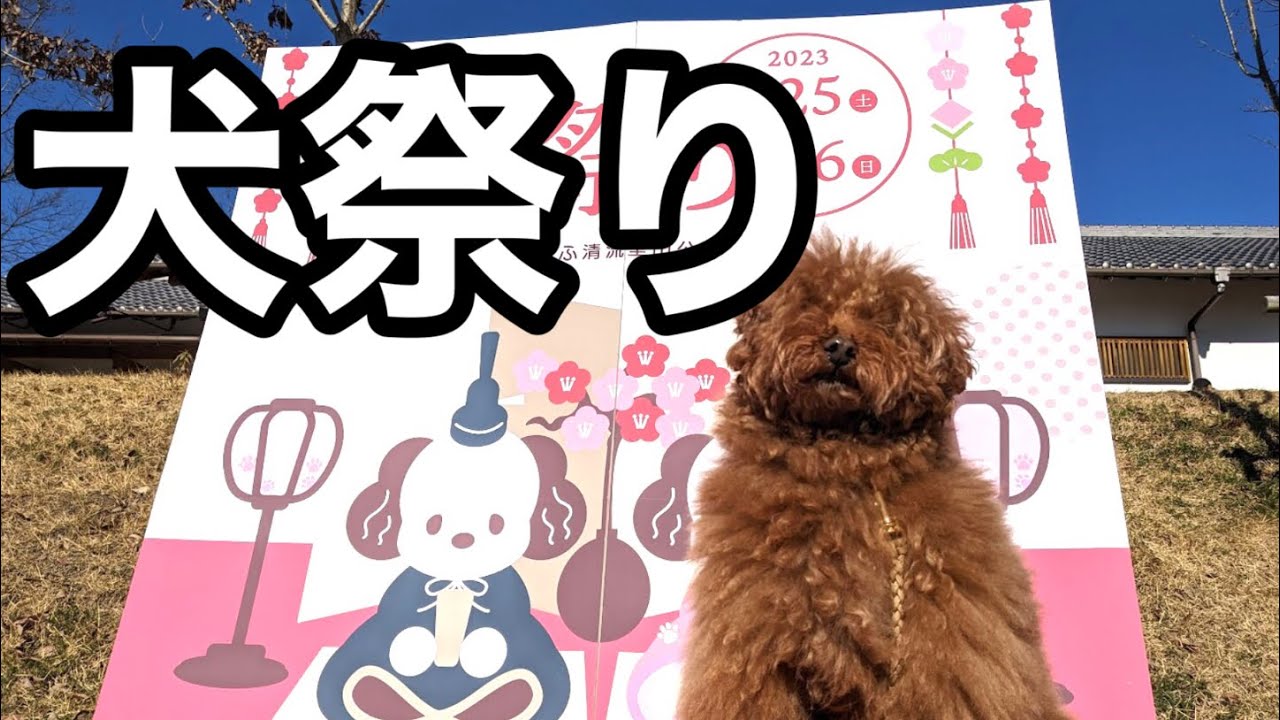 犬祭り2023行ってきた!　#ぎふ清流里山公園