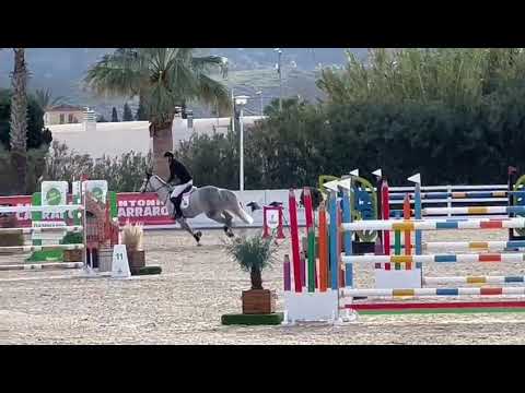 Panache van de Wateringhoeve - CSI1* Oliva - 16 12 2023 - R1