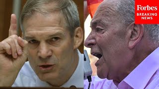 Famous 'Attack On The Pro-Life Community': Jim Jordan Castigates Chuck Schumer Over SCOTUS Remarks Net Worth