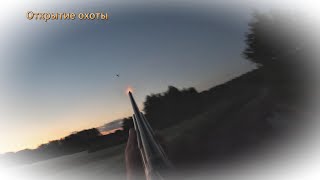 картинка: Открытие охоты на утку! Утки много... В новом для себя месте!