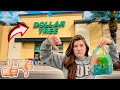 Fidget toy shopping at dollar store brutally honest  mrs bench