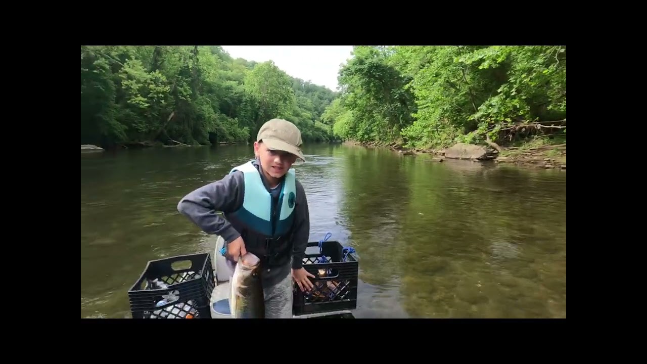 Pitching shad to large mouth bass on the Roanoke river.