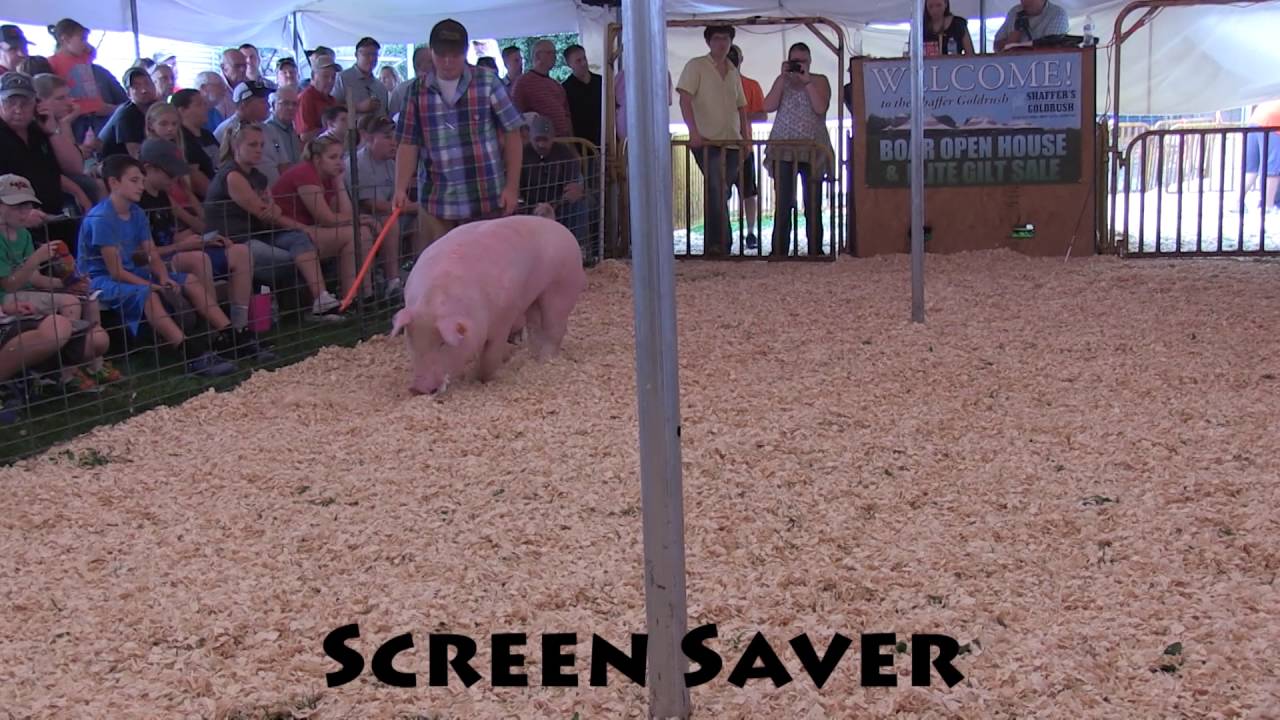 2016 screen saver youtube