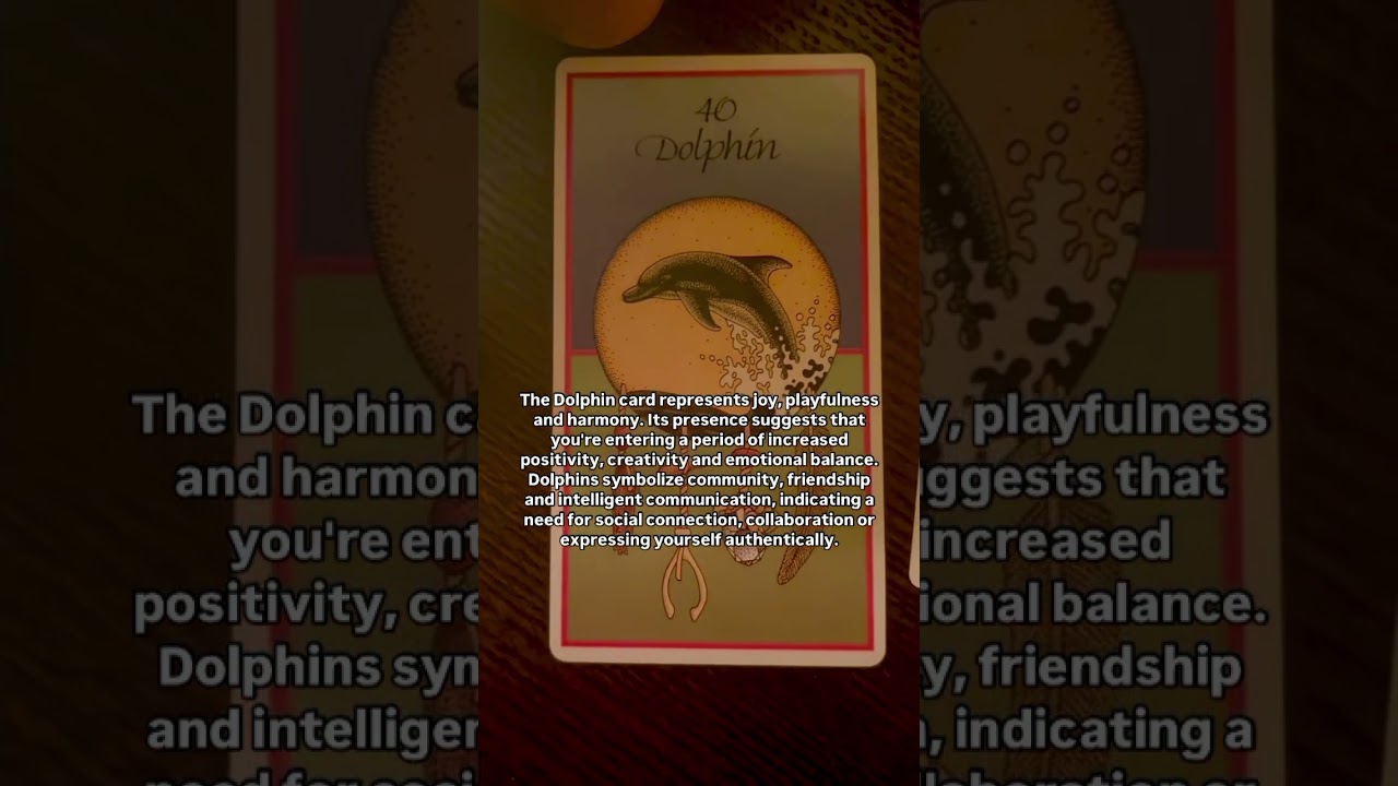 Medicine Oracle Card Pull: Nighttime Altar Vibes