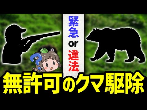 【緊急or違法】危険を感じたハンターが慌ててクマ駆除→これが大問題な理由