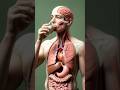 Inside your body milk digestion explained with medical animation human anatomy nutrition body scienc