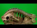 Green Screen Fossils