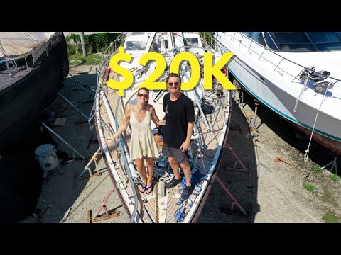 We bought a $20K WRECKED Delos to refit!