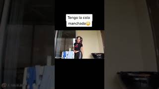 Staryuuki Tengo La Cola Manchada?