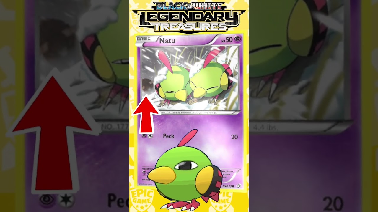 NÃO SEPARE ESSAS CARTAS POKÉMON!