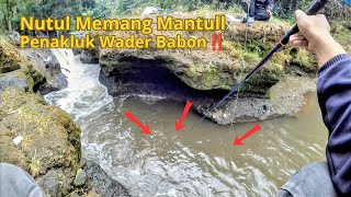 Nutul Wader Kepek di Spot Kedalaman 3 Meter‼️