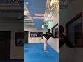 Taekwondo use hip training