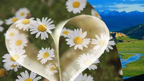 اجمل صوت الشيخ احمد العجمي * سوره الضحى مكررة .🌱