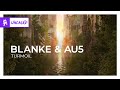 Blanke & Au5 - Turmoil [Monstercat Release]