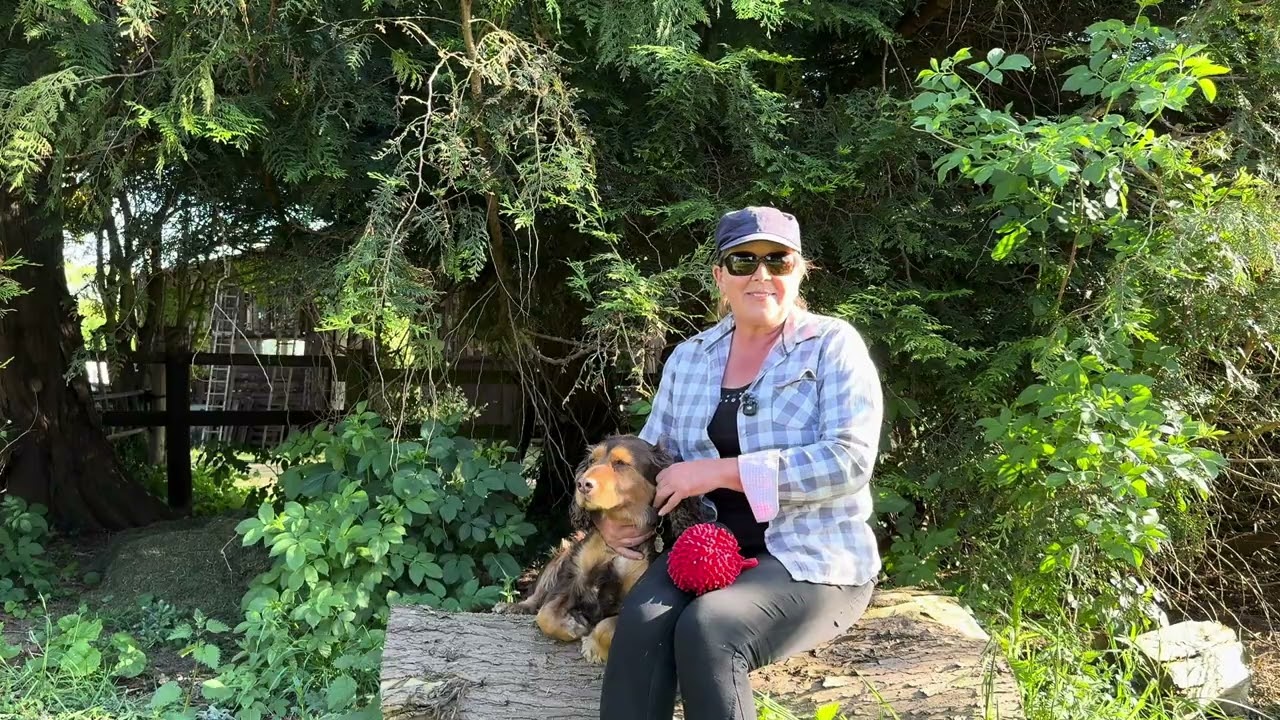 Lateral work on the circle.