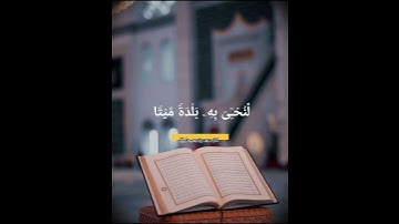 ■سورة الفرقان■القارئ إدريس أبكر #قرآن #قرآن_كريم #قران_كريم #تلاوة #تلاوة_خاشعة #تلاوات