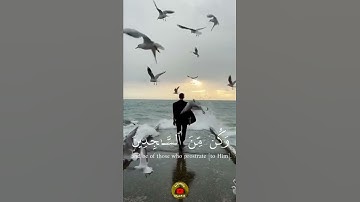 تلاوة جميلة بصوت عذب 😍||القارئ هزاع البلوشي ||آيات قصيرة حالات واتس آب ||قرآن كريم 💛🎧