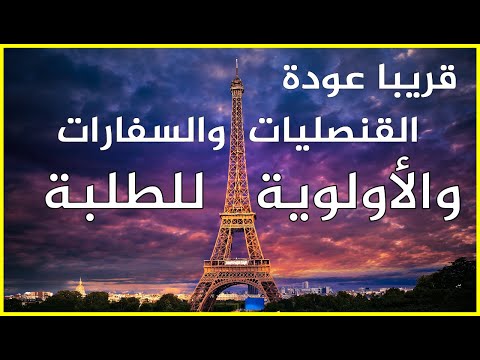 قريبا عودة القنصليات والسفارات الى العمل والأولوية في المواعيد ودراسة ملفات الفيزا ستكون للطلبة