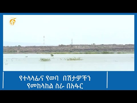 የተላላፊና የወባ  በሽታዎችን የመከላከል ስራ በአፋር