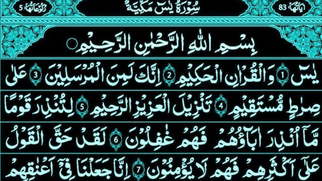 Surah Yaseen Surah Rahman | Viral Quran Recitation | Feel The Power of Allah’s Words 🕋 Ep-00291