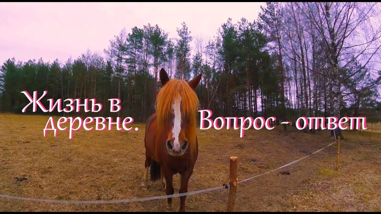 Деревенские будни. Переделка амбара в козлятник.. Ответы на различные игры в социальных сетях Деревенские будни. Переделка амбара в козлятник.. Ответы на различные игры в социальных сетях