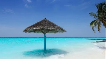 أجمل صوت  سورة الذاريات | قرآن كريم بصوت القارئ ياسين نائب |