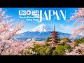 Japan Cinematic Travel Journey 🇯🇵 Mount Fuji, Kyoto, Okinawa, Hokkaido & Tokyo Bay Pictorial Jou
