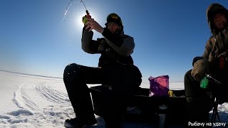 видео: Отличная весенняя рыбалка на судака. Хапок судака на водохранилище картинка: Отличная весенняя рыбалка на судака. Хапок судака на водохранилище