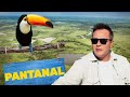 Pantanal | Biomas do Brasil | Ep.1