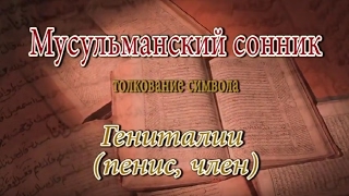 К чему снится Гениталии (пенис, член) сонник, толкование сна К чему снится Гениталии (пенис, член) сонник, толкование сна