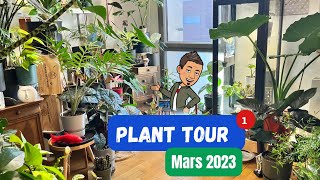 #15-PLANT TOUR «1»[ Mars 2023 ] Bienvenu chez moi 🪴#planttour #plantaddict