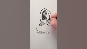 How to draw ears like a pro.