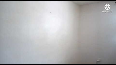 How to install wallpaper like a Pro:Start to Finish Tutorial