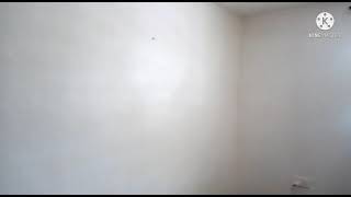 How to install wallpaper like a Pro:Start to Finish Tutorial