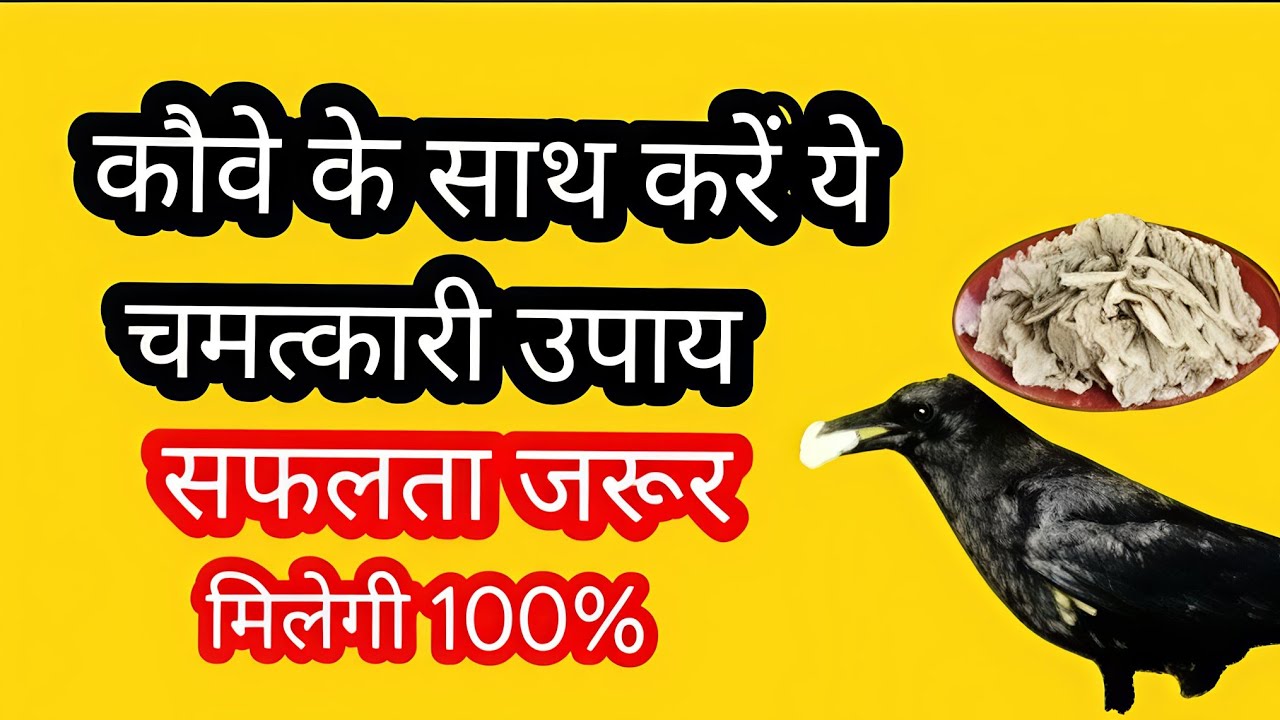 Kauve ke sath Karen yah chamatkari upay